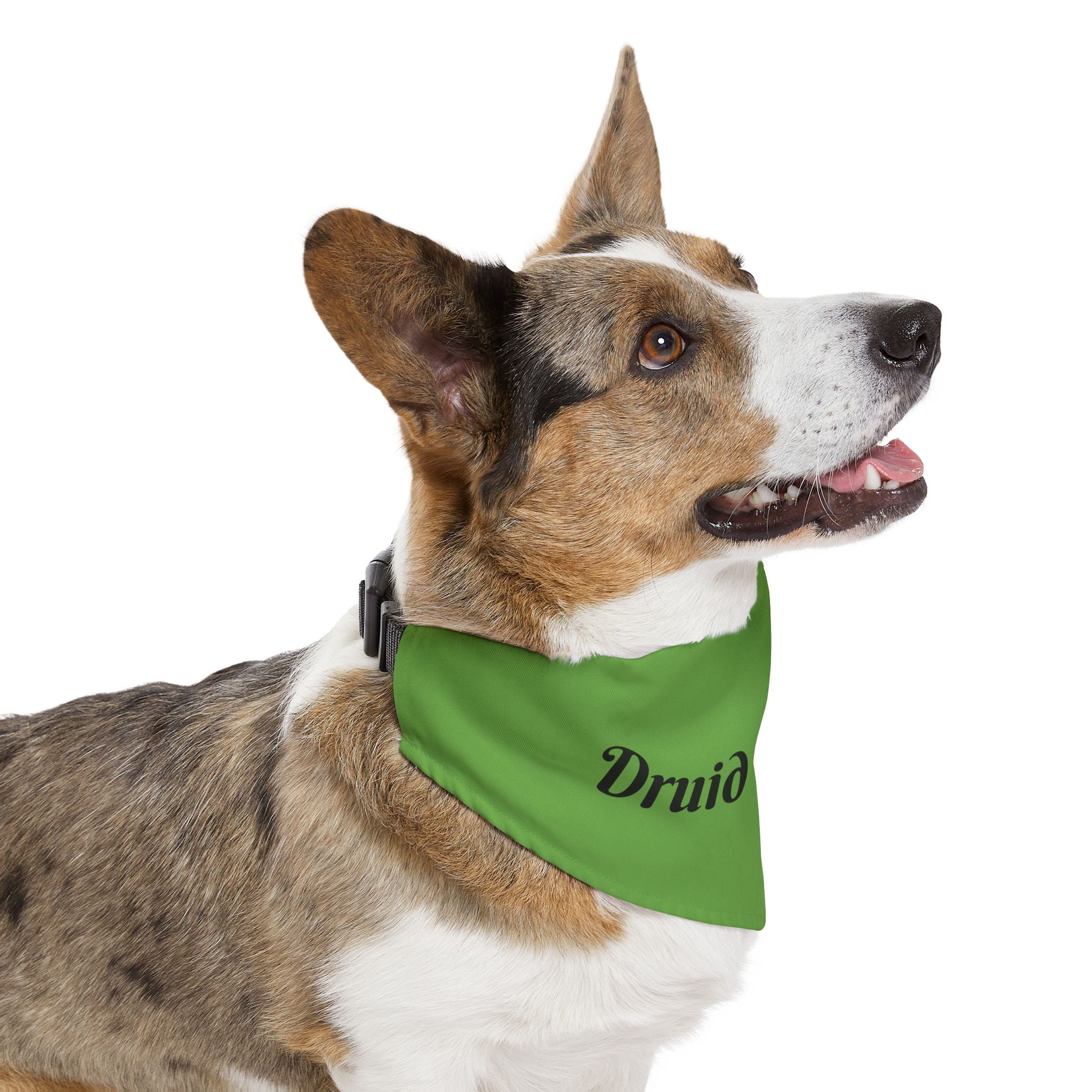 Druid Familiar Pet Bandana Collar | Green Dog Accessory for Festive Occasions