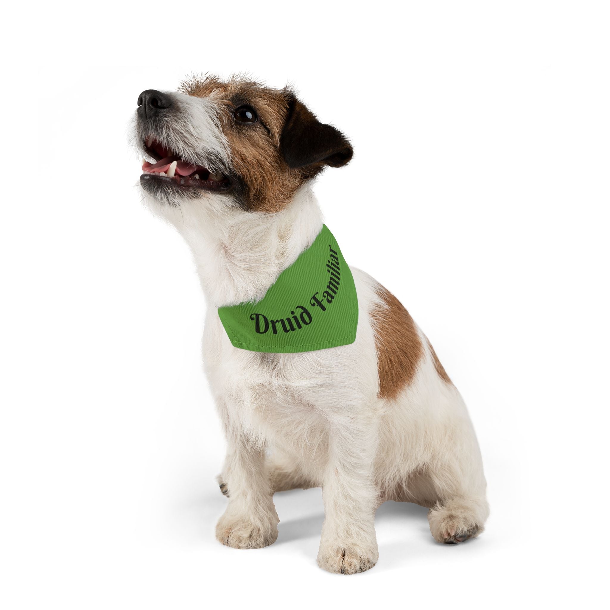 Druid Familiar Pet Bandana Collar | Green Dog Accessory for Festive Occasions