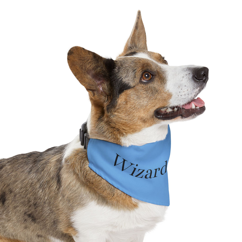 Wizard Familiar Pet Bandana Collar